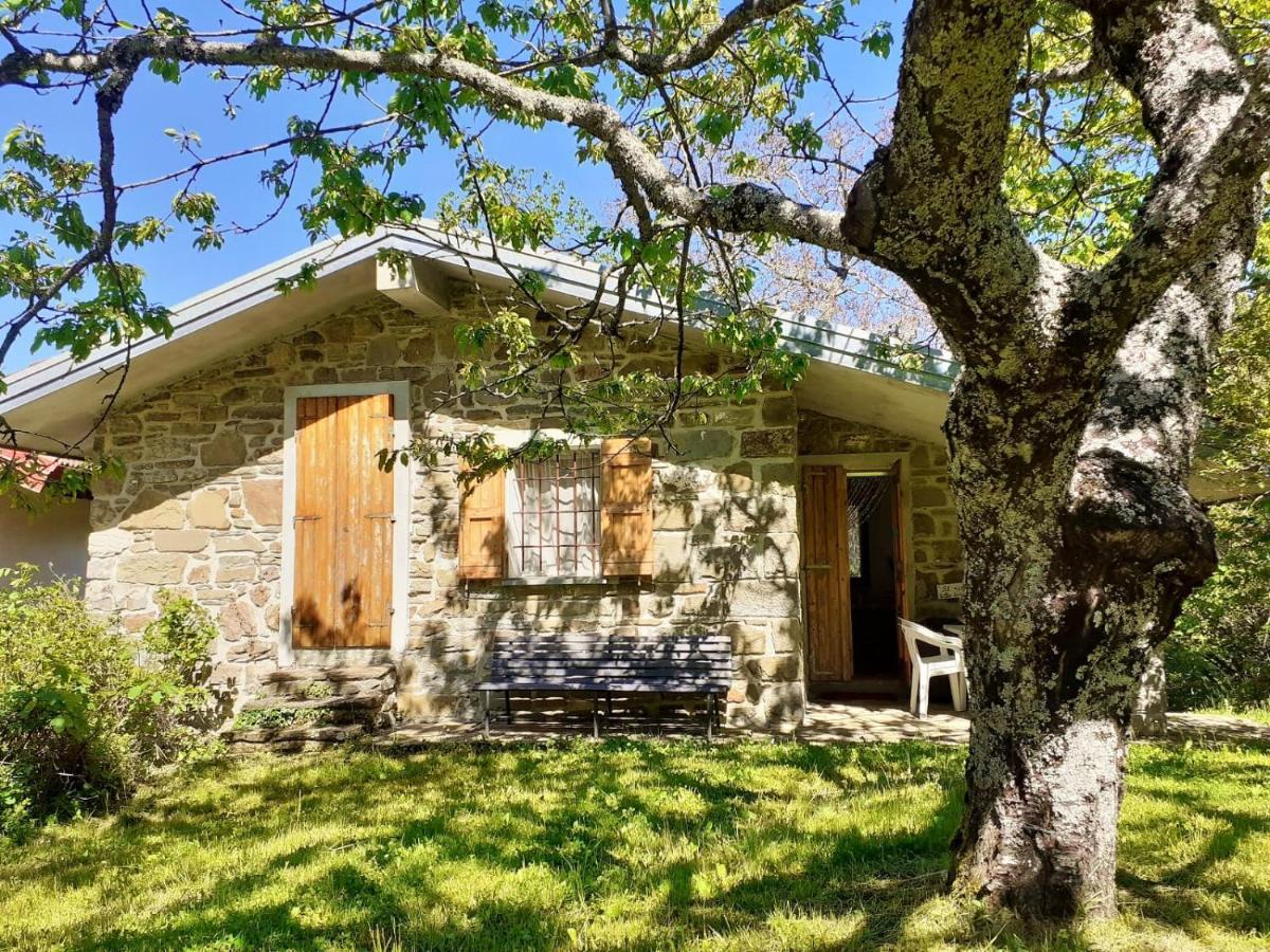 Borgo Castelluccio Country House 포레타테르메 외부 사진