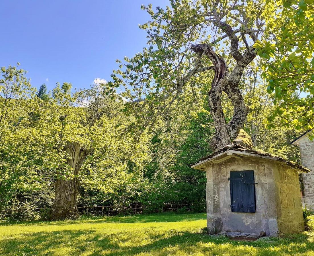 Borgo Castelluccio Country House 포레타테르메 외부 사진